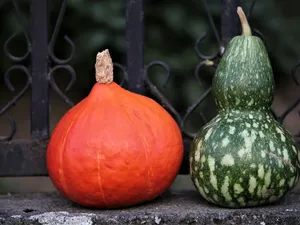 The Colors of Halloween